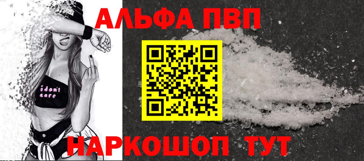 A PVP СК Североморск