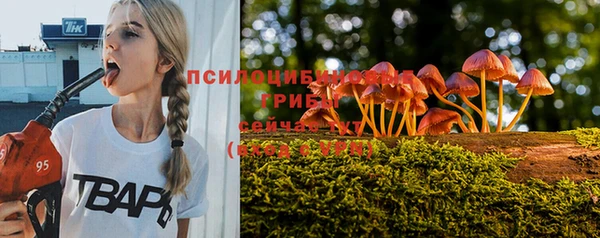 таблы Пролетарск