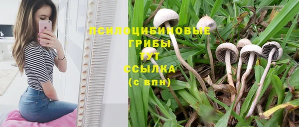 таблы Пролетарск