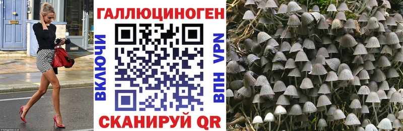Галлюциногенные грибы MAGIC MUSHROOMS  Североморск 