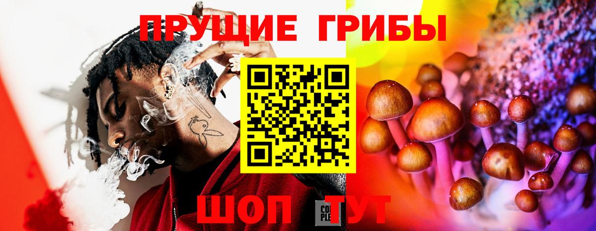 Североморск  Галлюциногенные грибы Cubensis  Вход с VPN 